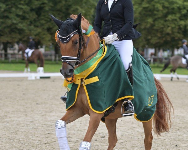 broodmare Esquire Noble (German Riding Pony, 2019, from Coer Noble)