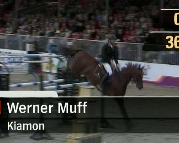 Reitturnier Münster-Schlossplatz 2011