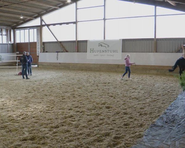 Freispringwettbewerb Lindlar 2024
