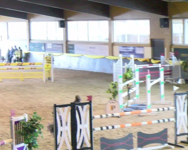 Reitturnier Sauldorf-Boll 2024