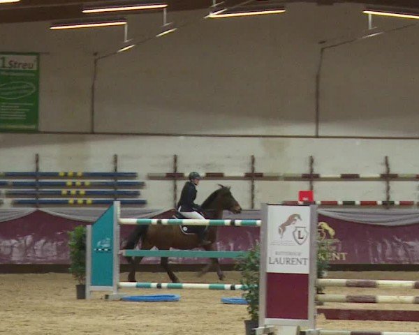 Reitturnier Eicherloh RH Laurent/Obb. 2024