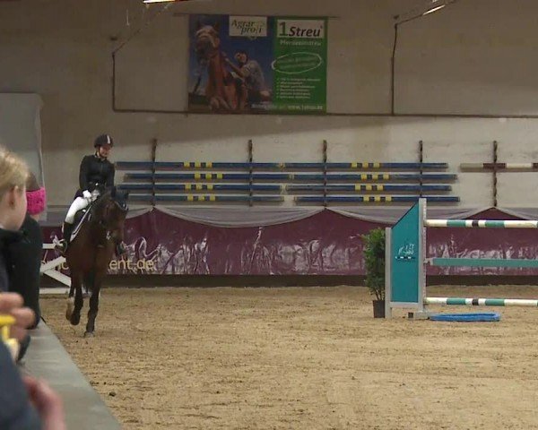 Reitturnier Eicherloh RH Laurent/Obb. 2024