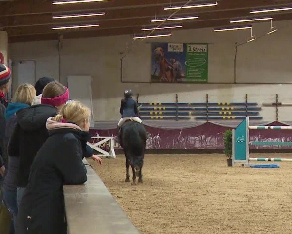 Reitturnier Eicherloh RH Laurent/Obb. 2024