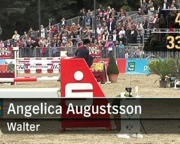 Turnier der Sieger, Münster 2011