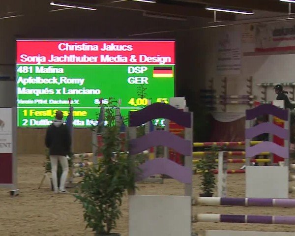 Reitturnier Eicherloh RH Laurent/Obb. 2024