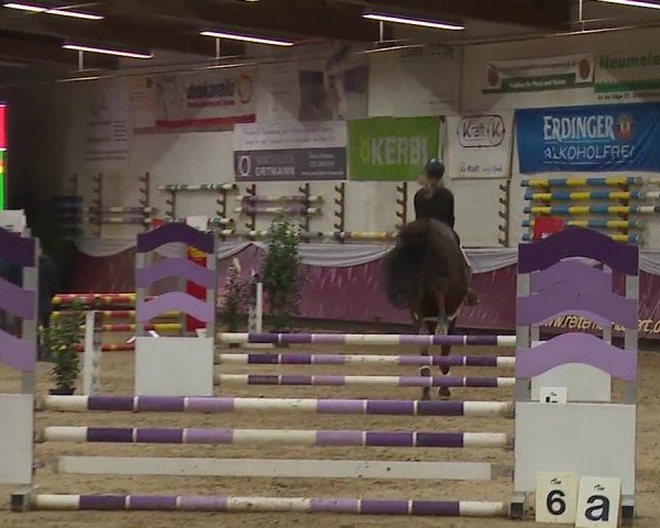 Reitturnier Eicherloh RH Laurent/Obb. 2024