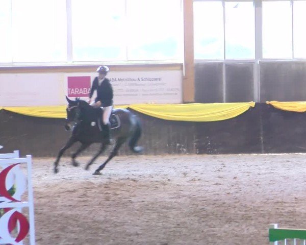 Reitturnier Sauldorf-Boll 2024