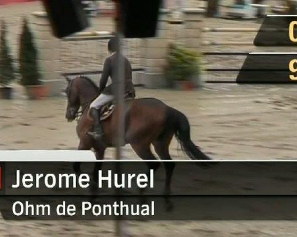 Reitturnier Münster-Schlossplatz 2011