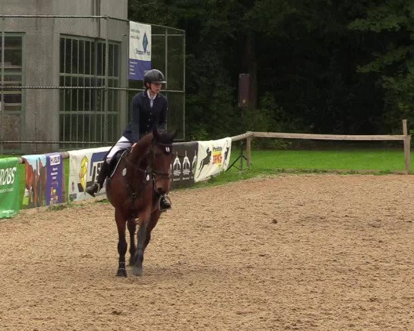 Reitturnier Albersdorf Dithmarsenpark 2021