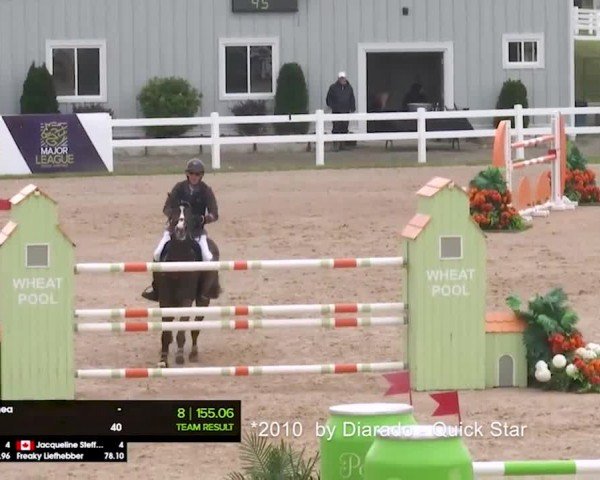 Online Hengstschau Schockemöhle Springhengste 2024