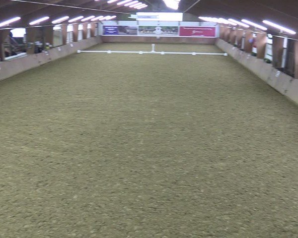 Reitturnier Bad Salzuflen 2024