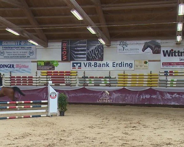 Reitturnier Eicherloh RH Laurent/Obb. 2024