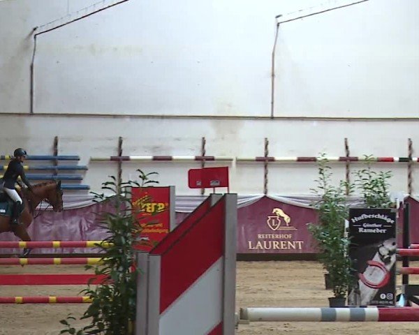 Reitturnier Eicherloh RH Laurent/Obb. 2024
