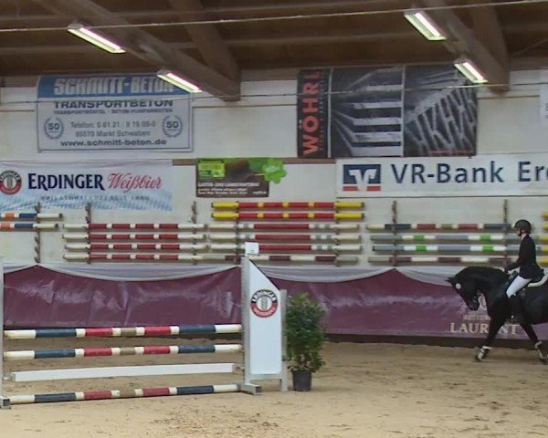 Reitturnier Eicherloh RH Laurent/Obb. 2024