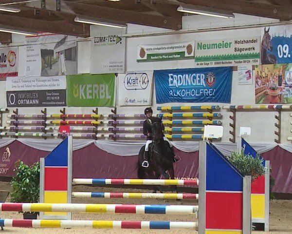 Reitturnier Eicherloh RH Laurent/Obb. 2024