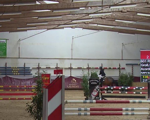 Reitturnier Eicherloh RH Laurent/Obb. 2024