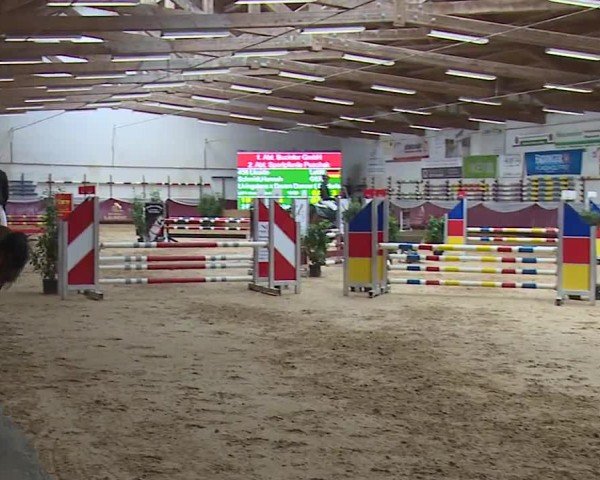 Reitturnier Eicherloh RH Laurent/Obb. 2024