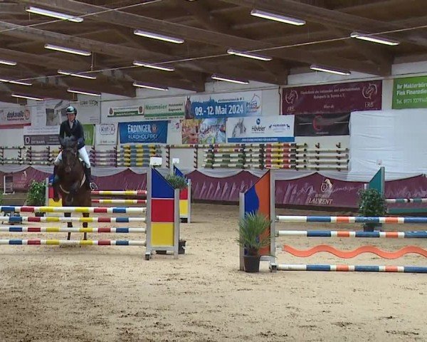 Reitturnier Eicherloh RH Laurent/Obb. 2024