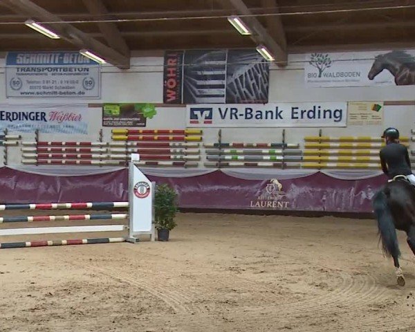 Reitturnier Eicherloh RH Laurent/Obb. 2024