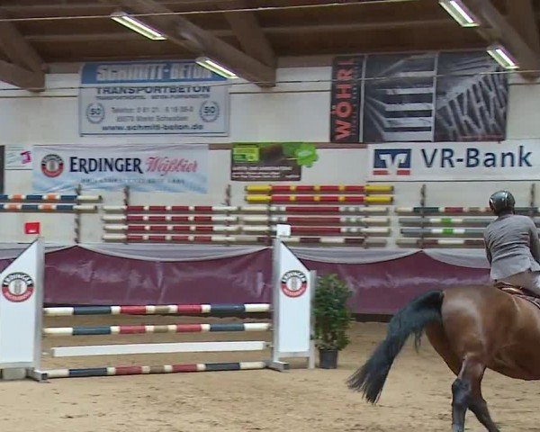 Reitturnier Eicherloh RH Laurent/Obb. 2024