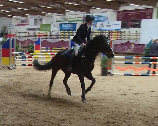 Reitturnier Eicherloh RH Laurent/Obb. 2024