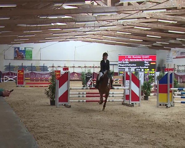 Reitturnier Eicherloh RH Laurent/Obb. 2024