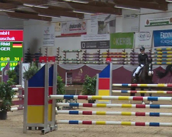 Reitturnier Eicherloh RH Laurent/Obb. 2024