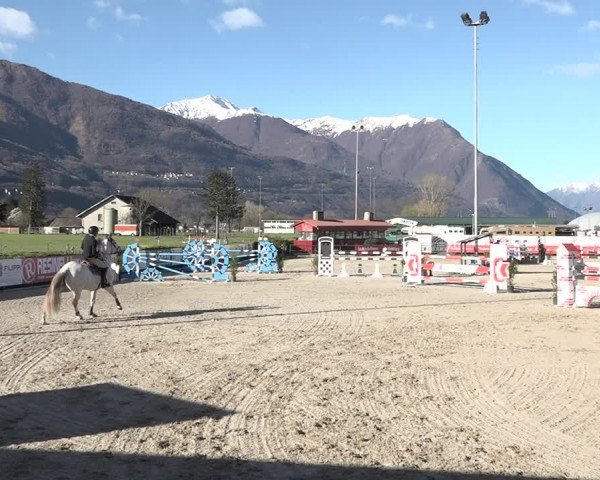Reitturnier Giubiasco 2024