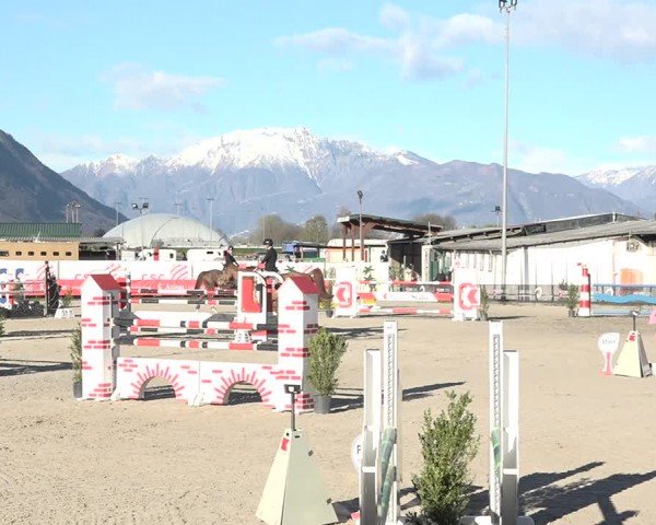 Reitturnier Giubiasco 2024