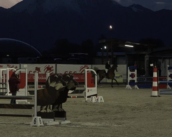 Reitturnier Giubiasco 2024