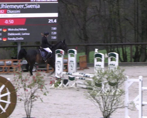 Reitturnier Erkrath - Uhlenhof 2024