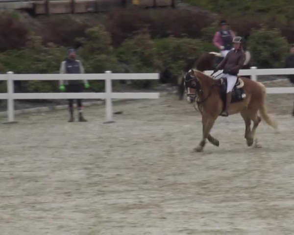 Reitturnier St. Margarethen 2024