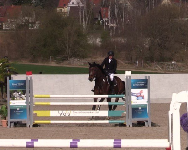 Reitturnier Zwickau 2024