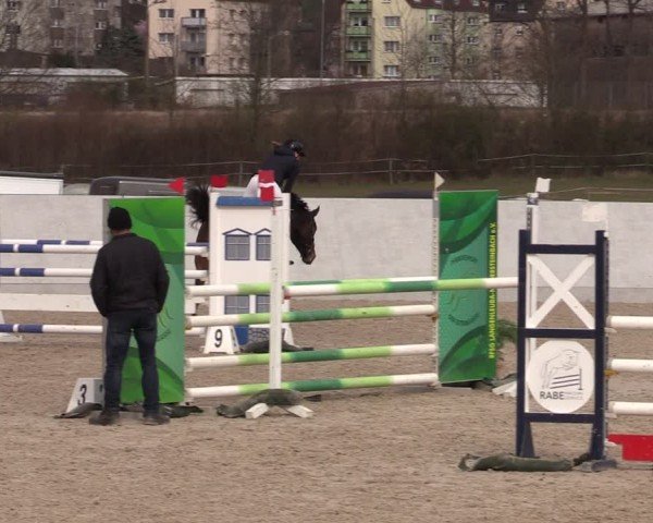 Reitturnier Zwickau 2024