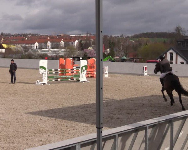 Reitturnier Zwickau 2024