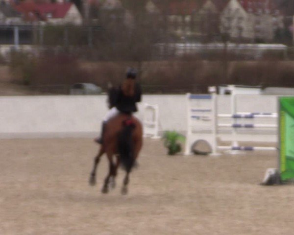 Reitturnier Zwickau 2024