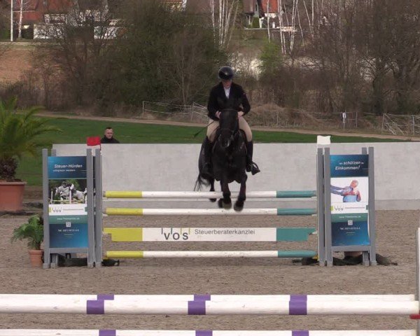 Reitturnier Zwickau 2024