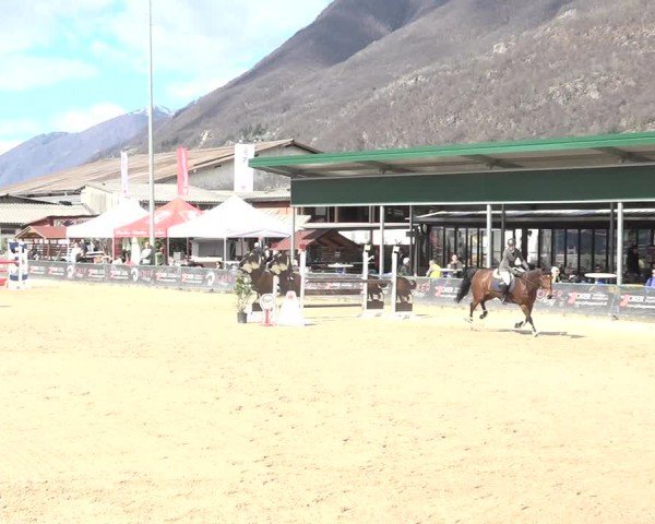 Reitturnier Giubiasco 2024