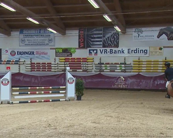 Reitturnier Eicherloh RH Laurent/Obb. 2024