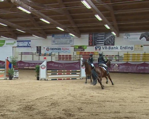 Reitturnier Eicherloh RH Laurent/Obb. 2024