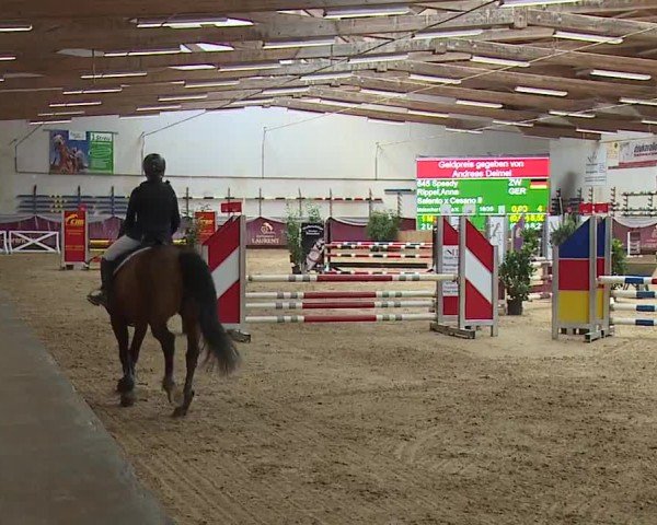 Reitturnier Eicherloh RH Laurent/Obb. 2024