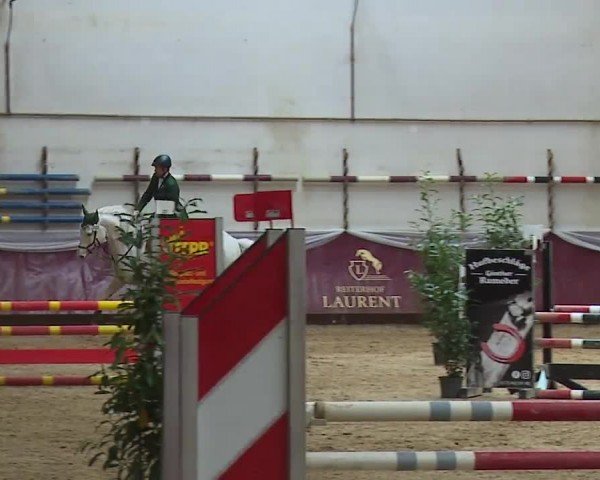 Reitturnier Eicherloh RH Laurent/Obb. 2024