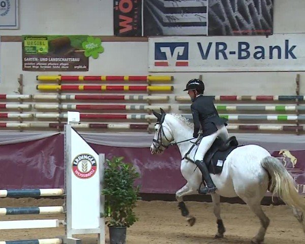 Reitturnier Eicherloh RH Laurent/Obb. 2024