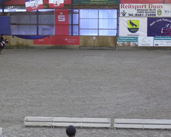 Reitturnier Großenwiehe 2021