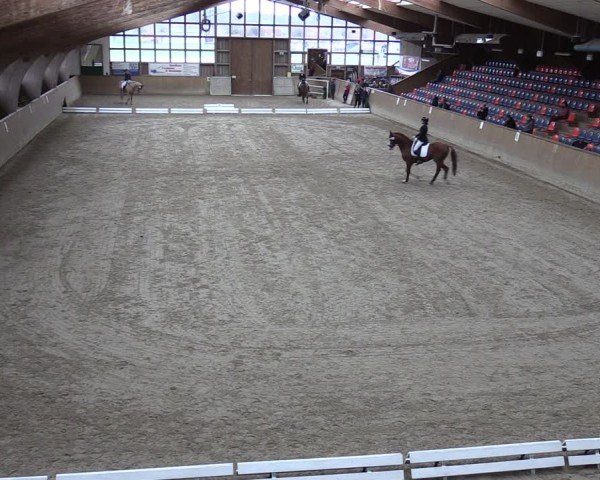 Reitturnier Krumke 2024
