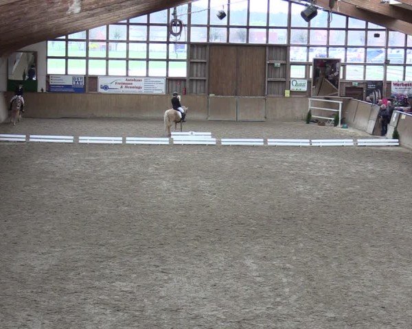 Reitturnier Krumke 2024
