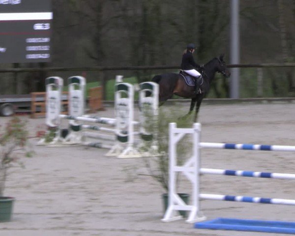 Reitturnier Erkrath - Uhlenhof 2024
