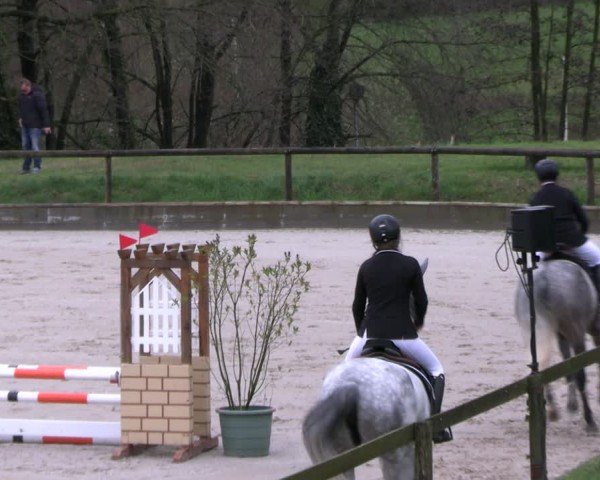 Reitturnier Erkrath - Uhlenhof 2024