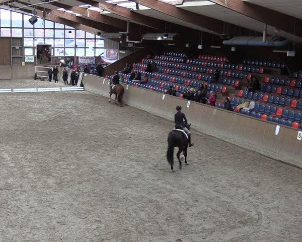 Reitturnier Krumke 2024