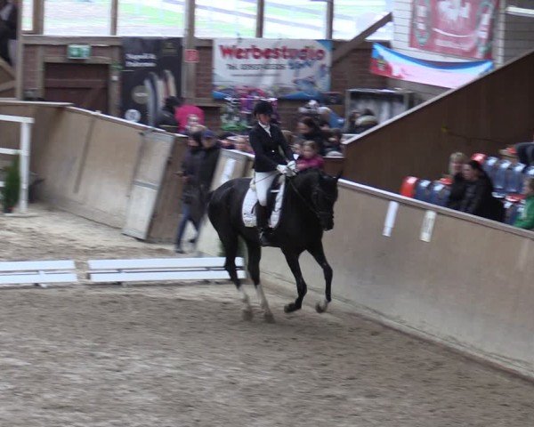 Reitturnier Krumke 2024